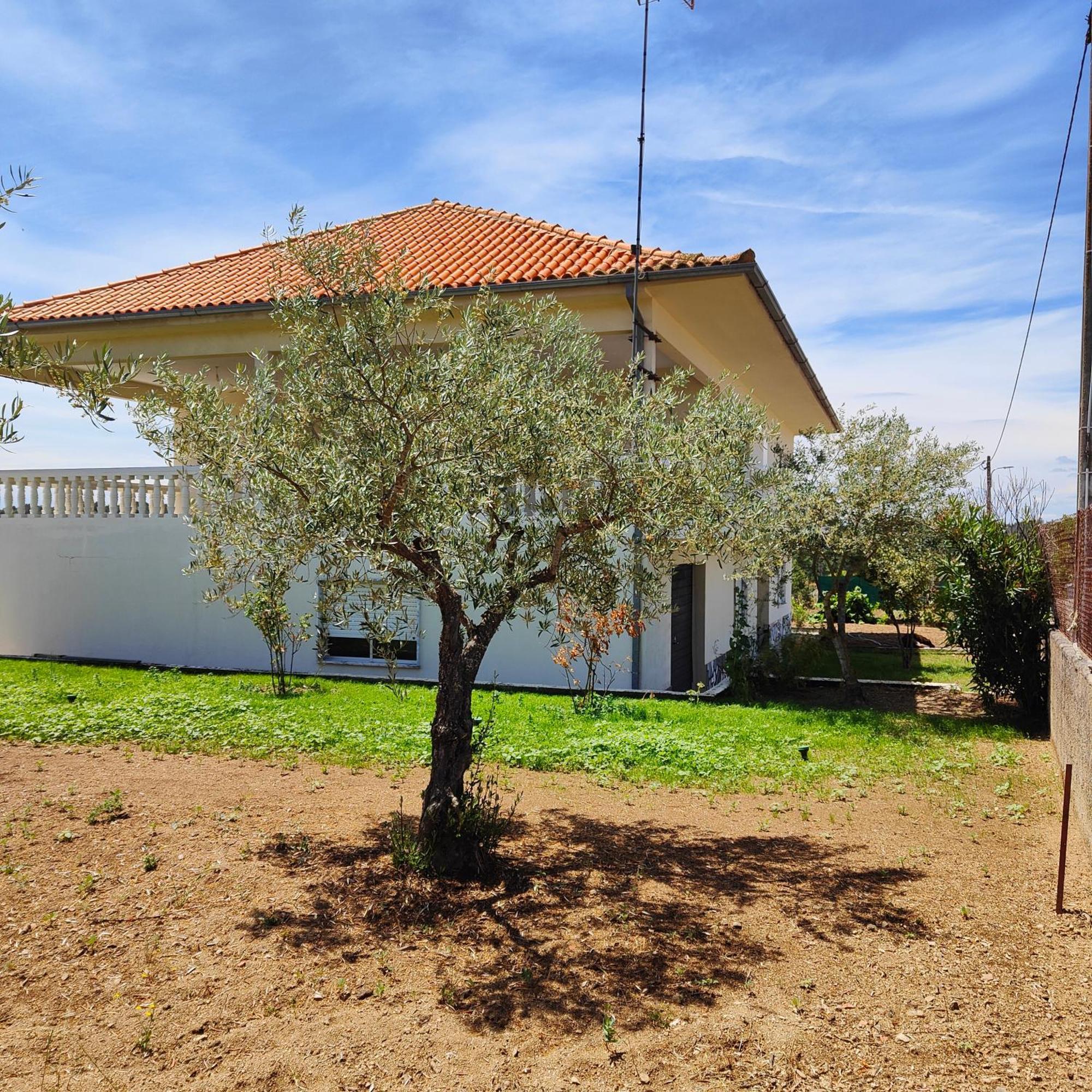 Villa Mendes Oliva อัลเมดา ภายนอก รูปภาพ